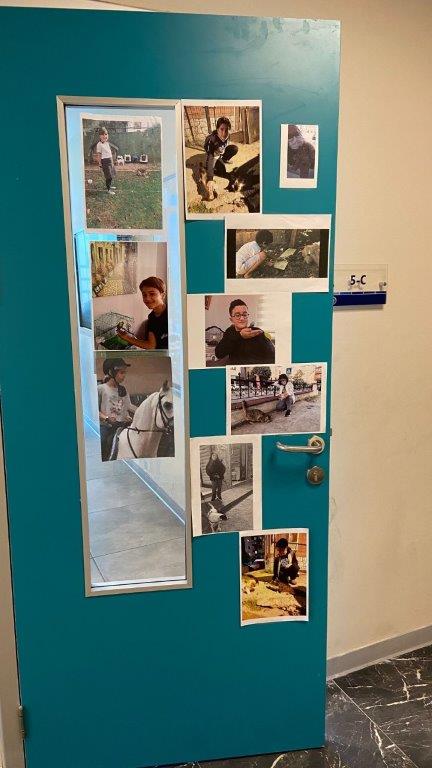 “Hayvanlar İçin  Küçük Bir Mutluluk” Mama Bağışı Kampanyamız Yoğun İlgi Gördü 