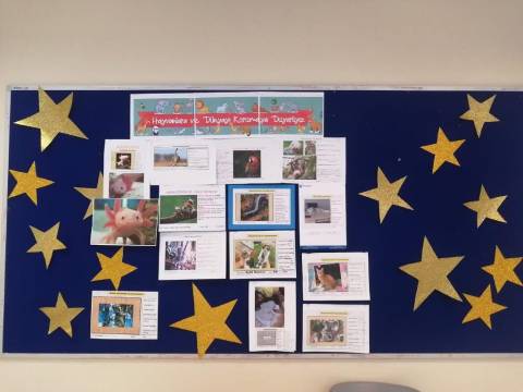 “Hayvanlar İçin  Küçük Bir Mutluluk” Mama Bağışı Kampanyamız Yoğun İlgi Gördü 