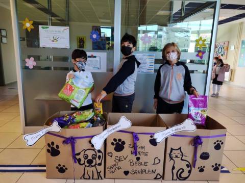 “Hayvanlar İçin  Küçük Bir Mutluluk” Mama Bağışı Kampanyamız Yoğun İlgi Gördü 