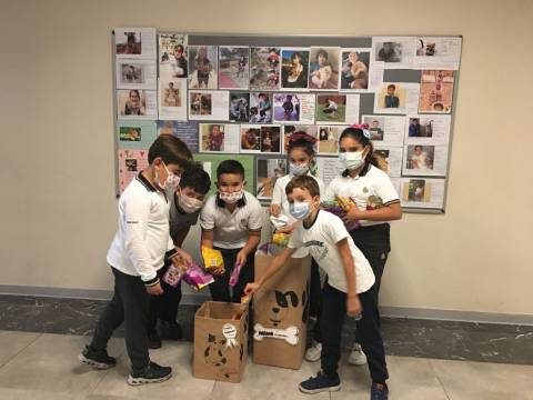 “Hayvanlar İçin  Küçük Bir Mutluluk” Mama Bağışı Kampanyamız Yoğun İlgi Gördü 