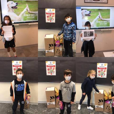 “Hayvanlar İçin  Küçük Bir Mutluluk” Mama Bağışı Kampanyamız Yoğun İlgi Gördü 