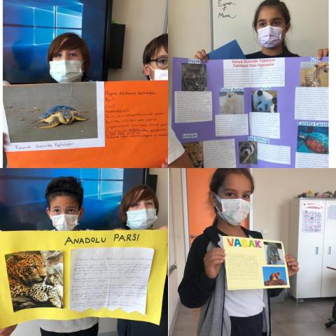 “Hayvanlar İçin  Küçük Bir Mutluluk” Mama Bağışı Kampanyamız Yoğun İlgi Gördü 