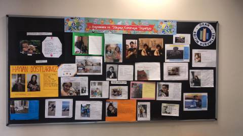 “Hayvanlar İçin  Küçük Bir Mutluluk” Mama Bağışı Kampanyamız Yoğun İlgi Gördü 